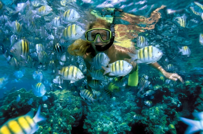 Cozumel snorkeling tips