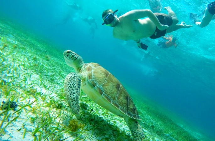 Cozumel snorkeling tips