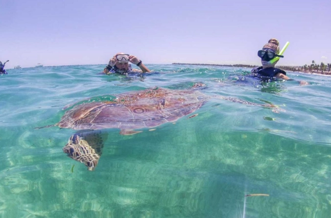 Cozumel snorkeling on your own