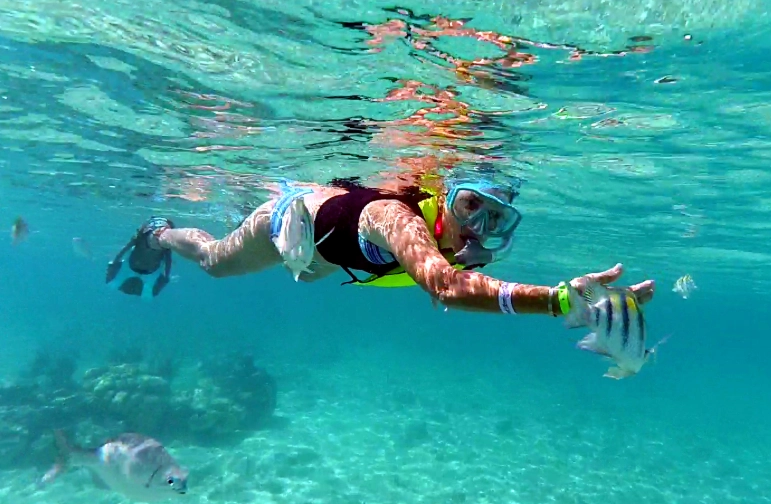 Roatan snorkel spots