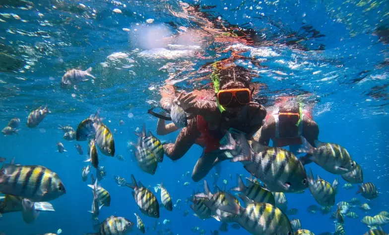 Montego Bay snorkeling