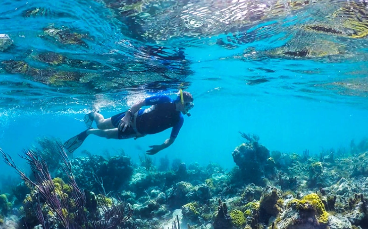 best snorkeling beaches in Turks and Caicos best snorkeling beaches in Turks and Caicos