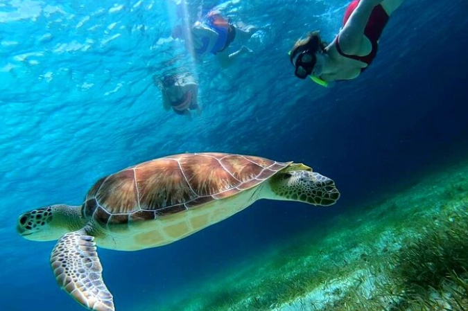 where to snorkel for free Cozumel