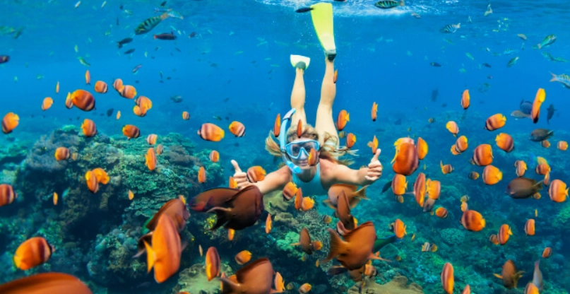 Jamaica snorkel tours