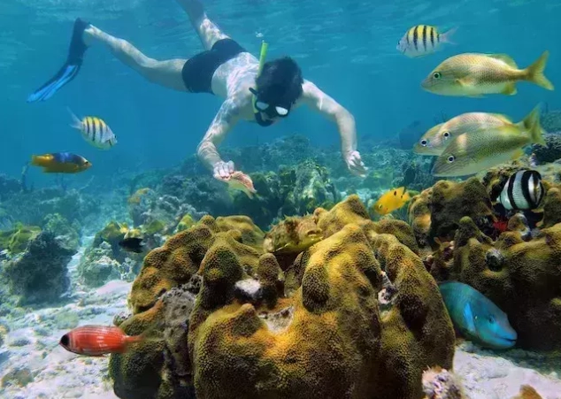 Cozumel snorkeling spots