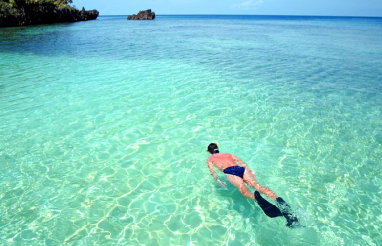 Roatan snorkel spots