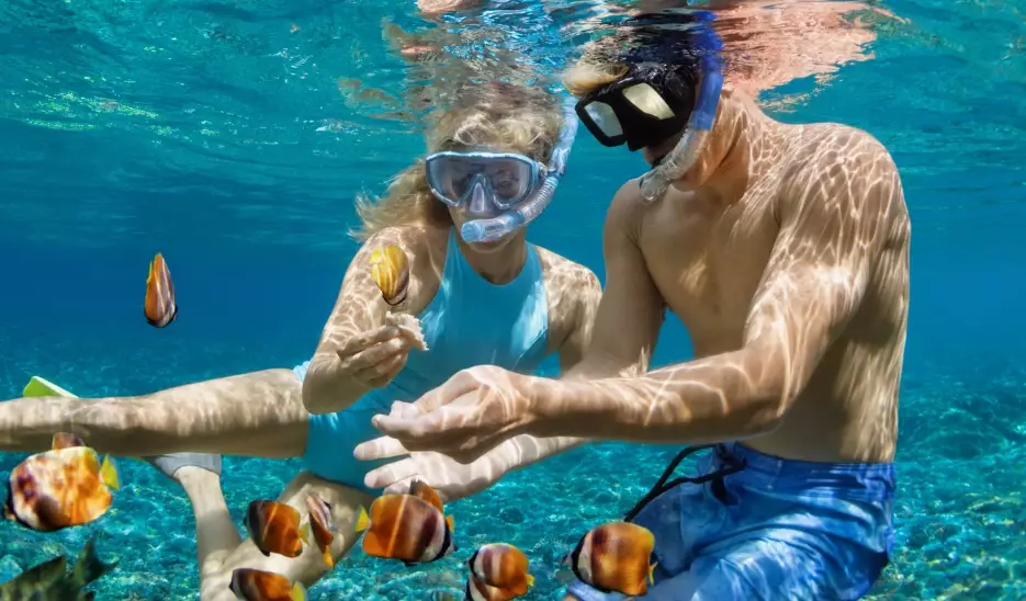 free snorkeling jamaica