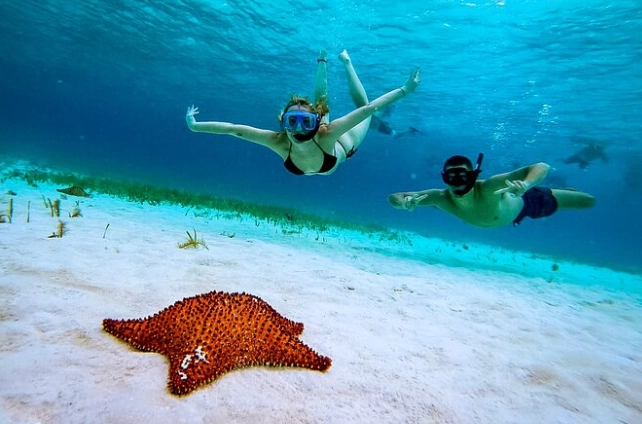 best snorkeling spots cozumel