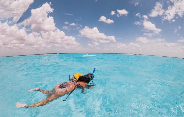 cozumel snorkeling from beach