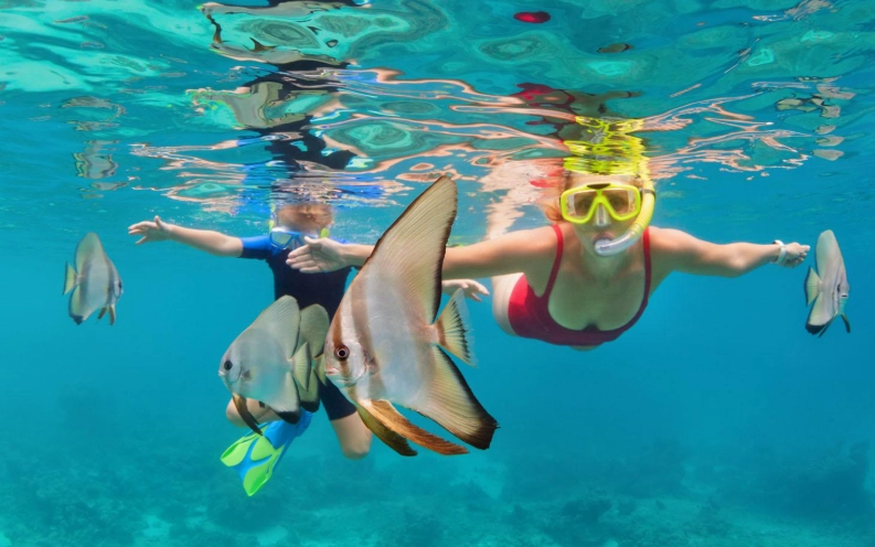 snorkeling in Roatan