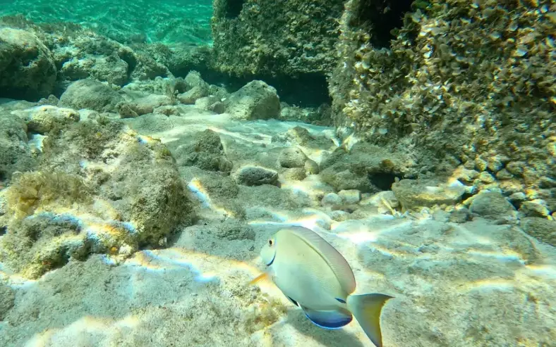 where to snorkel in Turks and Caicos where to snorkel in Turks and Caicos