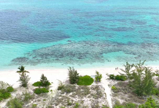 Bight Reef snorkeling