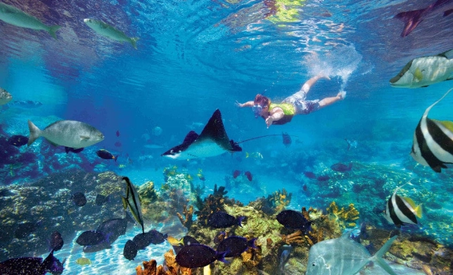 costa rica snorkeling spots