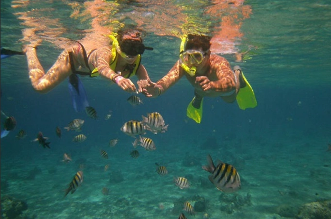 Tamarindo snorkeling spots Tamarindo snorkeling spots