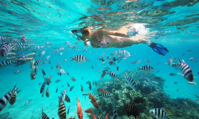 Bora Bora snorkel tours price