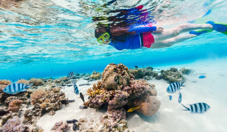 snorkeling costa rica
