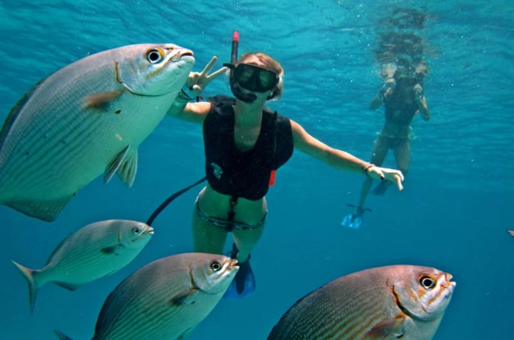 DIY snorkeling Cozumel DIY snorkeling Cozumel