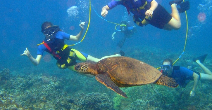free snorkeling costa rica