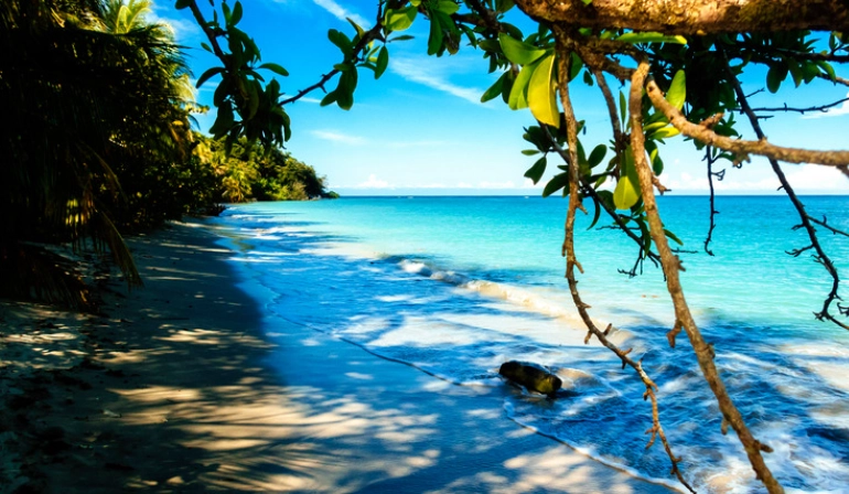 coral reef Costa Rica