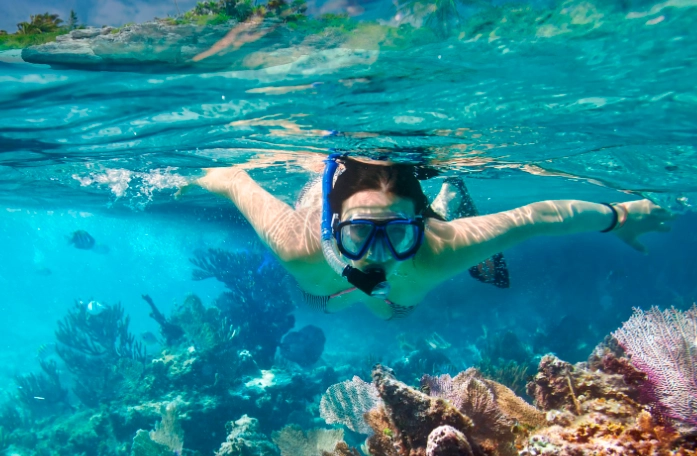 Palancar Reef snorkeling