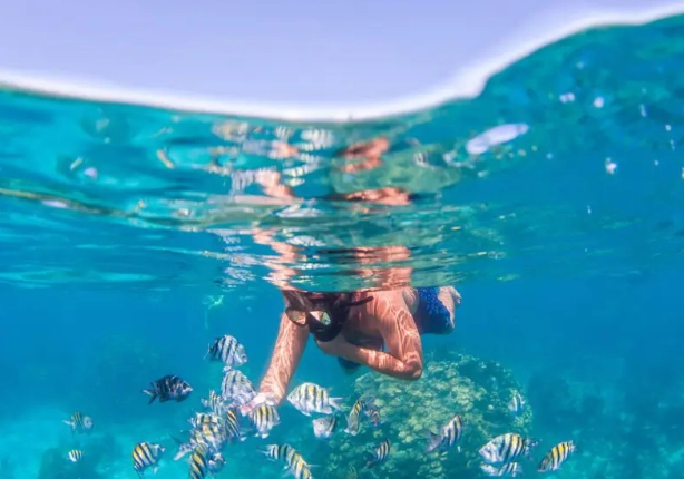 Cayman Islands snorkeling guide