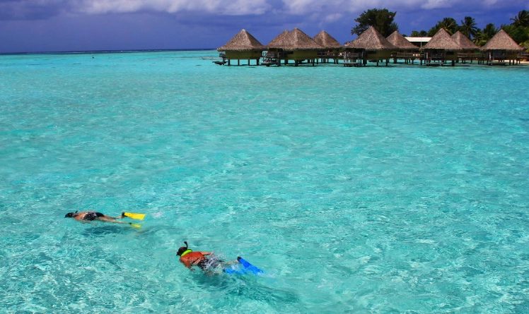 Bora Bora snorkeling