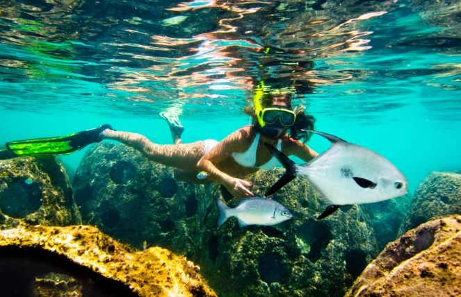 snorkeling Cayman Islands