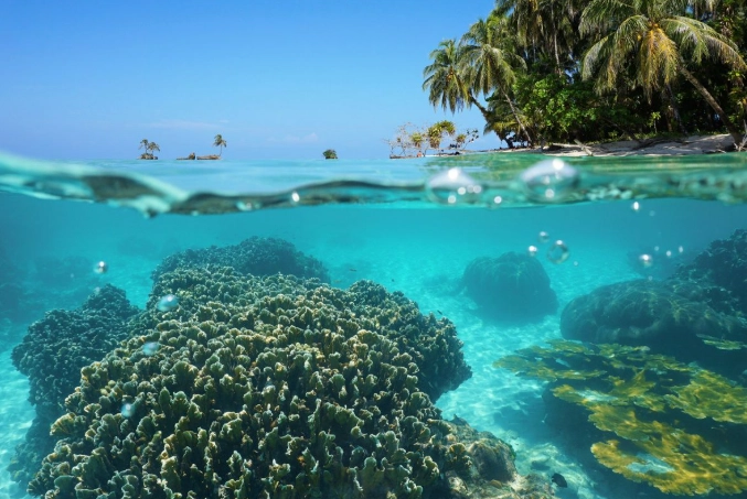 Cahuita National Park