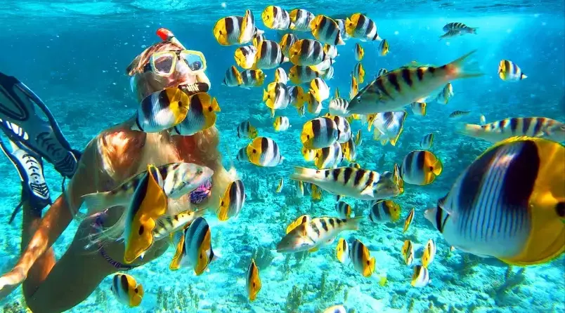 Bora Bora snorkel tours price
