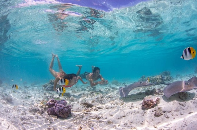 Bora Bora snorkel tours price
