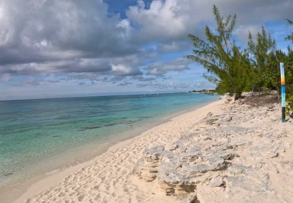 Providenciales coral reef