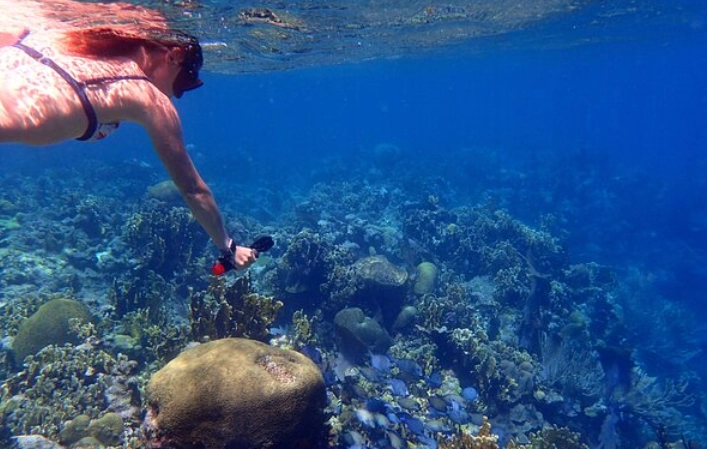 Is it better to snorkel in Roatan or Belize?