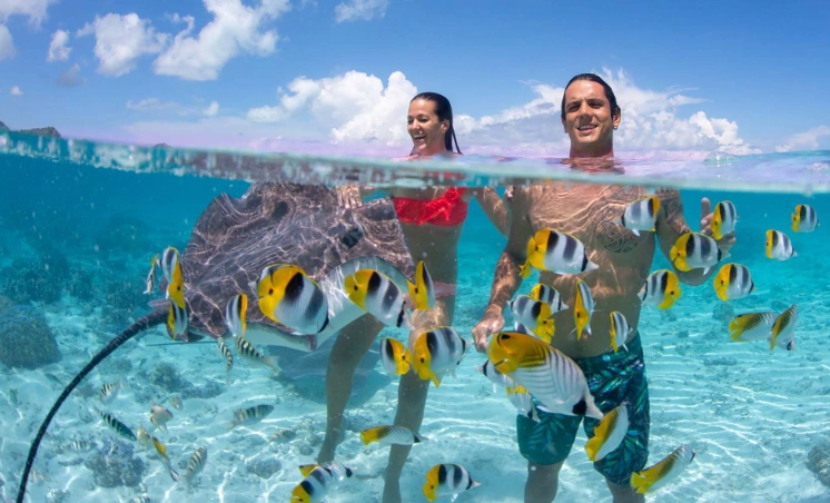 Bora Bora snorkeling