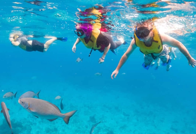 DIY snorkeling Cozumel DIY snorkeling Cozumel