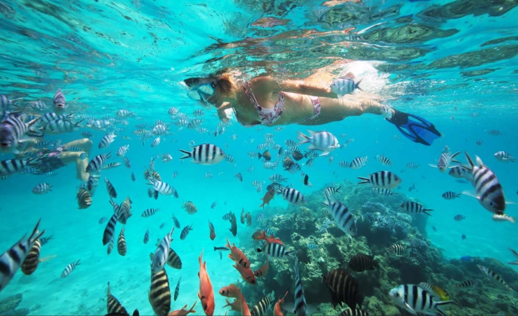Bora Bora snorkel spots