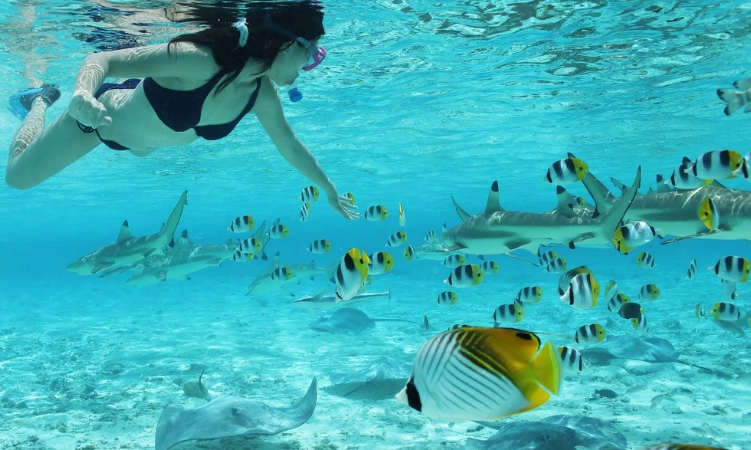Bora Bora snorkeling