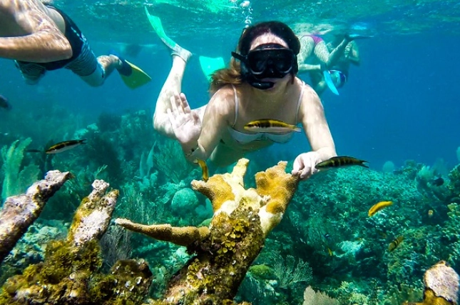 Costa Rica snorkeling tours