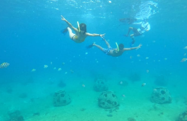 Cozumel snorkeling spots