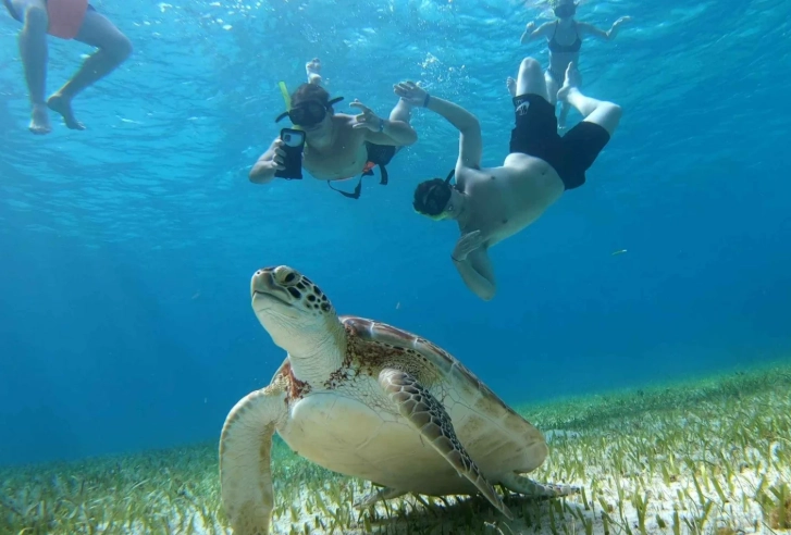 Cozumel snorkel spots Cozumel snorkel spots