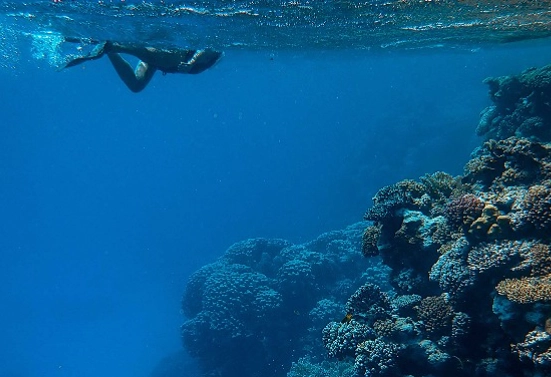 Sharm El Sheikh snorkeling spots