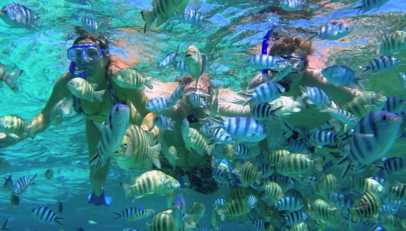 cheap snorkeling Bora Bora
