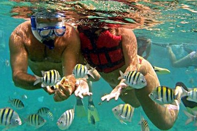 free snorkeling roatan