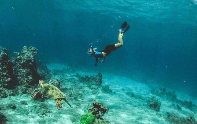 free snorkeling roatan