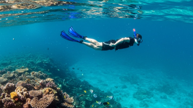 Costa Rica snorkeling
