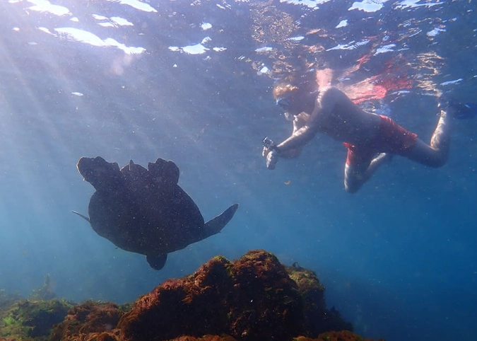 snorkel Galapagos water temperature