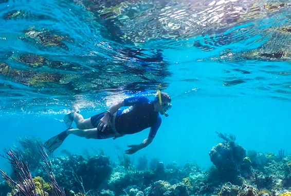 best snorkeling turks and caicos