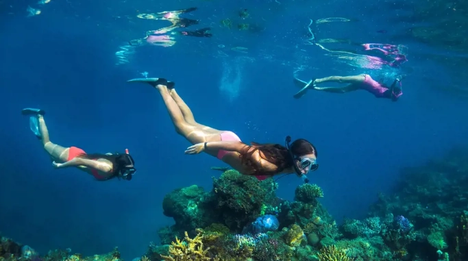 best snorkeling Fiji Nadi