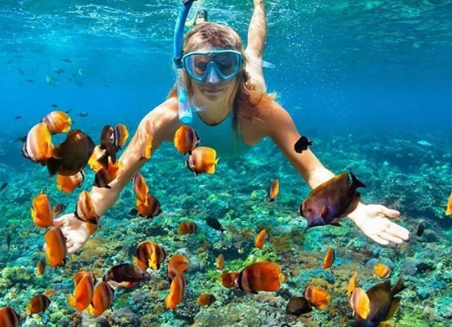 best time to snorkel in Galapagos