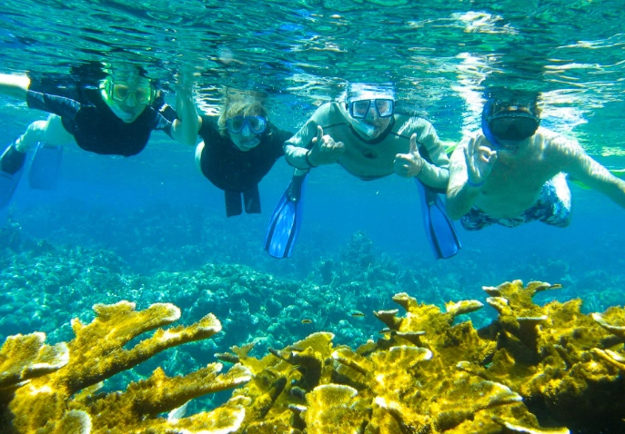 free snorkeling roatan