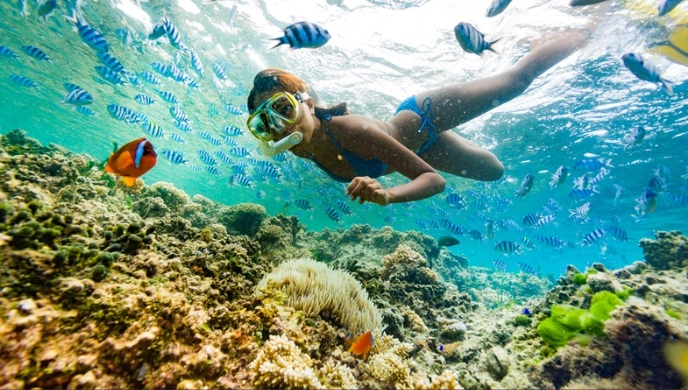 Fiji Nadi coral reefs